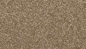 EverStrand | Dynamic Quality II