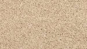 EverStrand | Vitalize I